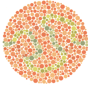Ishihara Color Blindness Test 22