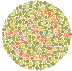 Ishihara Color Blindness Test 23