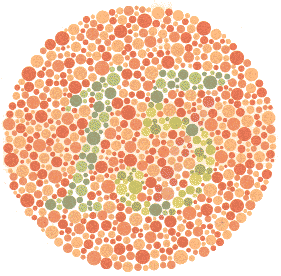 Ishihara Color Blindness Test 6