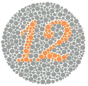 Ishihara Color Blindness Test 1