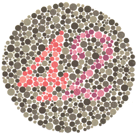 Ishihara Color Blindness Test 17