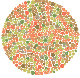Ishihara Color Blindness Test 19