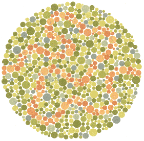 Ishihara Color Blindness Test 21