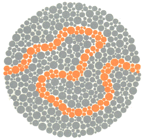 Ishihara Color Blindness Test 24