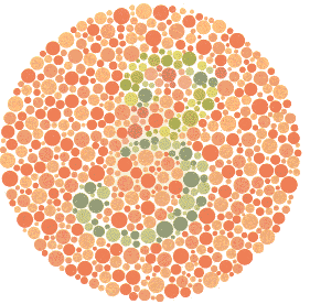 Ishihara Color Blindness Test 5
