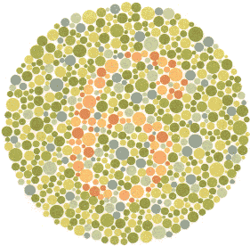 Ishihara Color Blindness Test 8