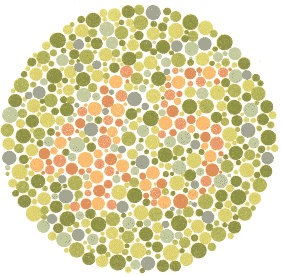 Ishihara Color Blindness Test 9