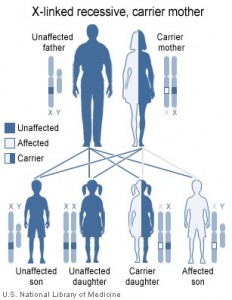 inherit color blindness genetics causes